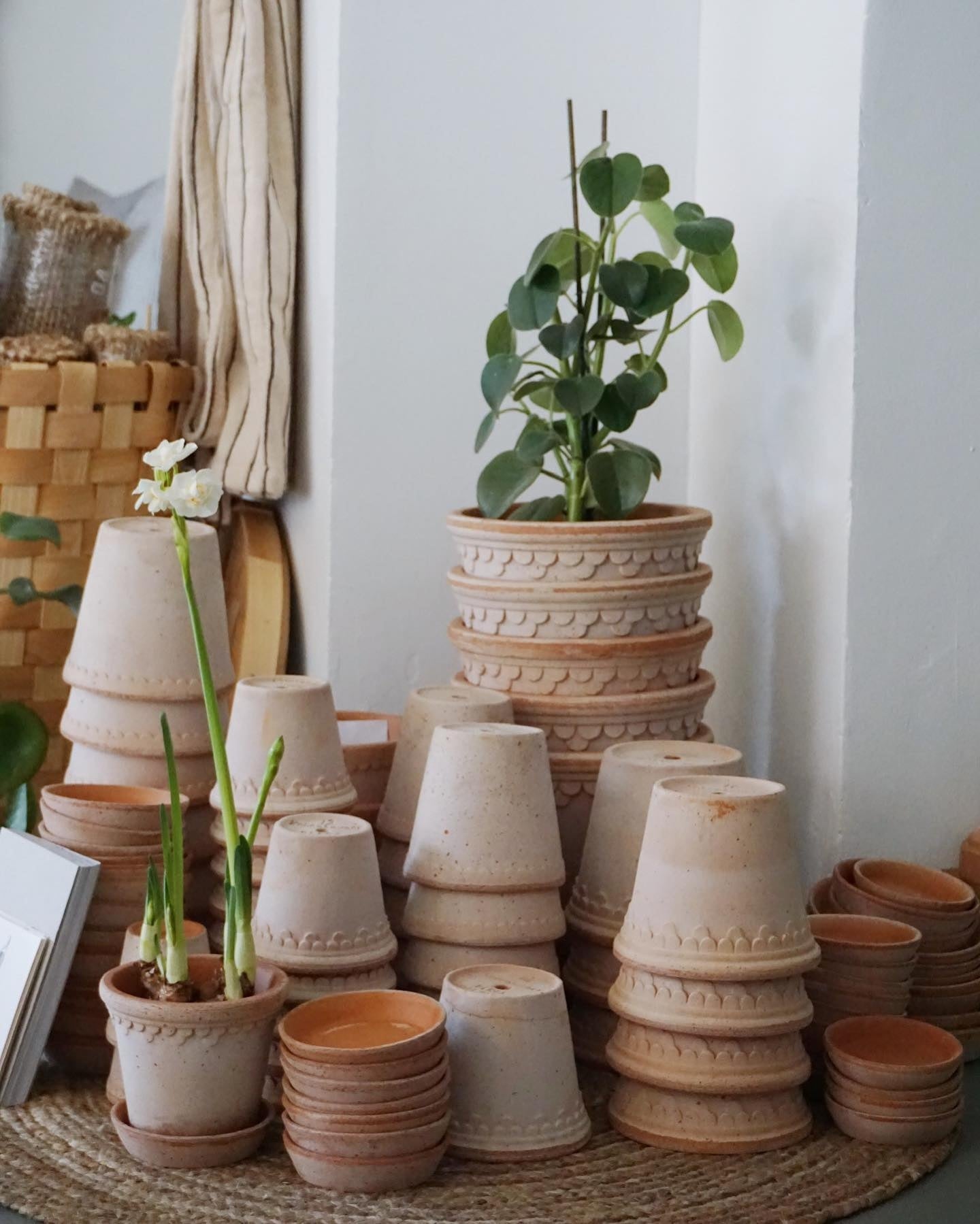 PLANT POT-HELENA ROSA POT & SAUCER-DIAM.25 CM