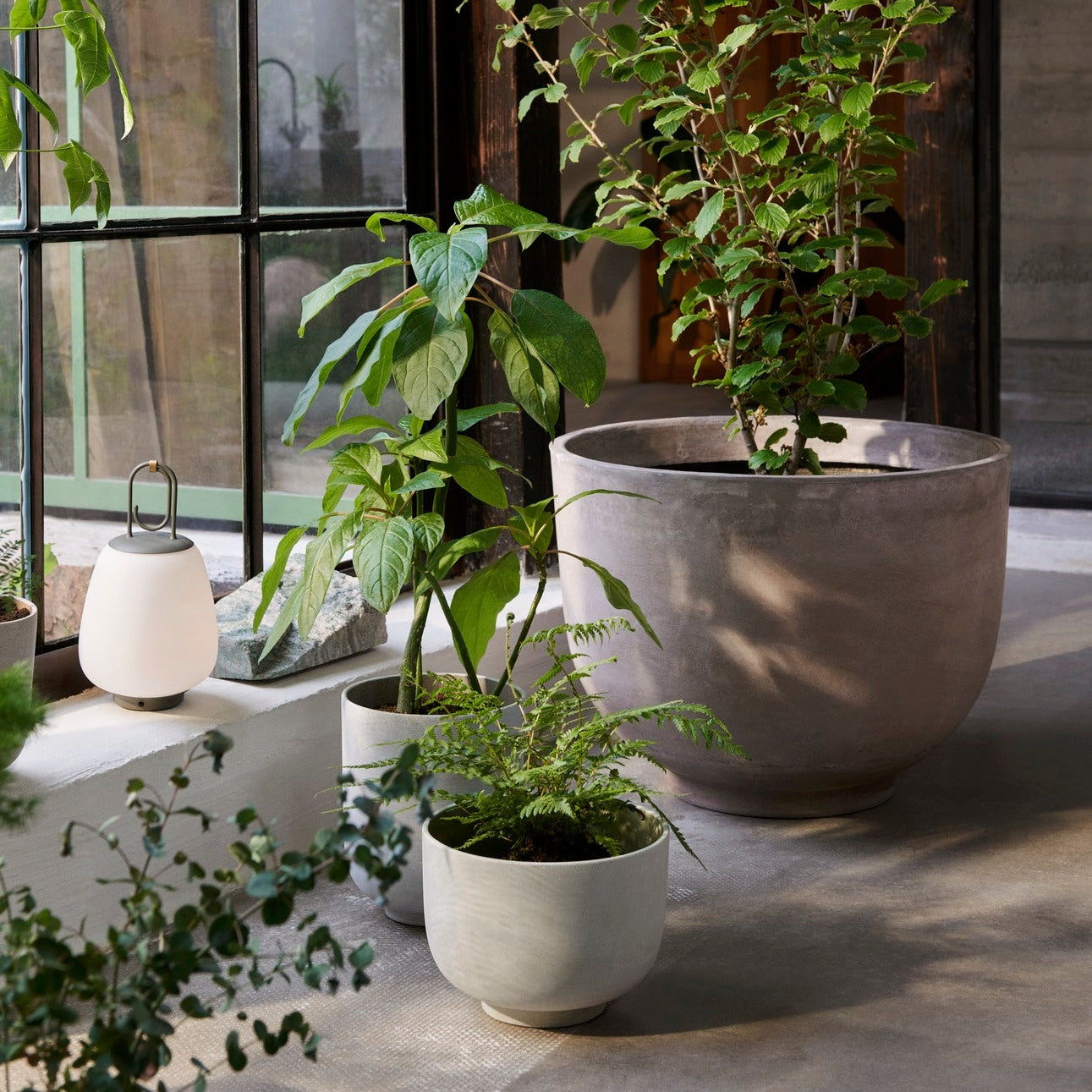 PLANT POT-COLLECT SC72-SAGE-TALL