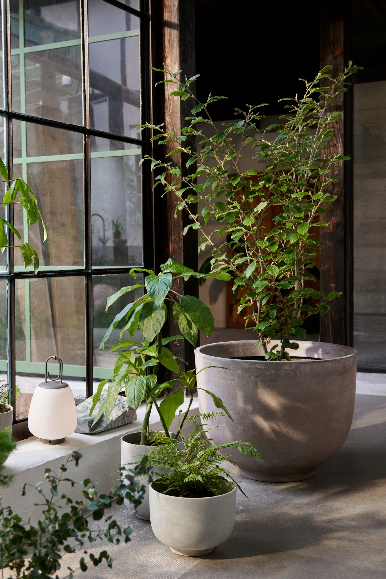 PLANT POT-COLLECT SC71-SAGE-LARGE