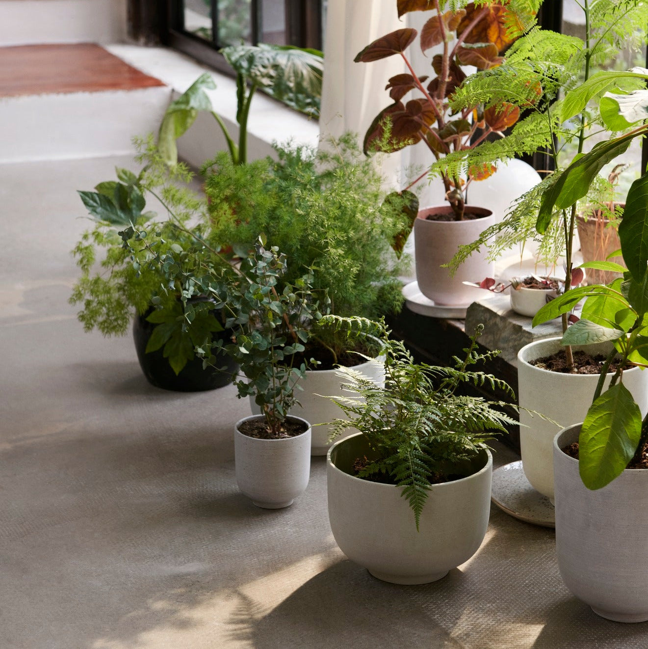 PLANT POT-COLLECT SC71-SAGE-LARGE