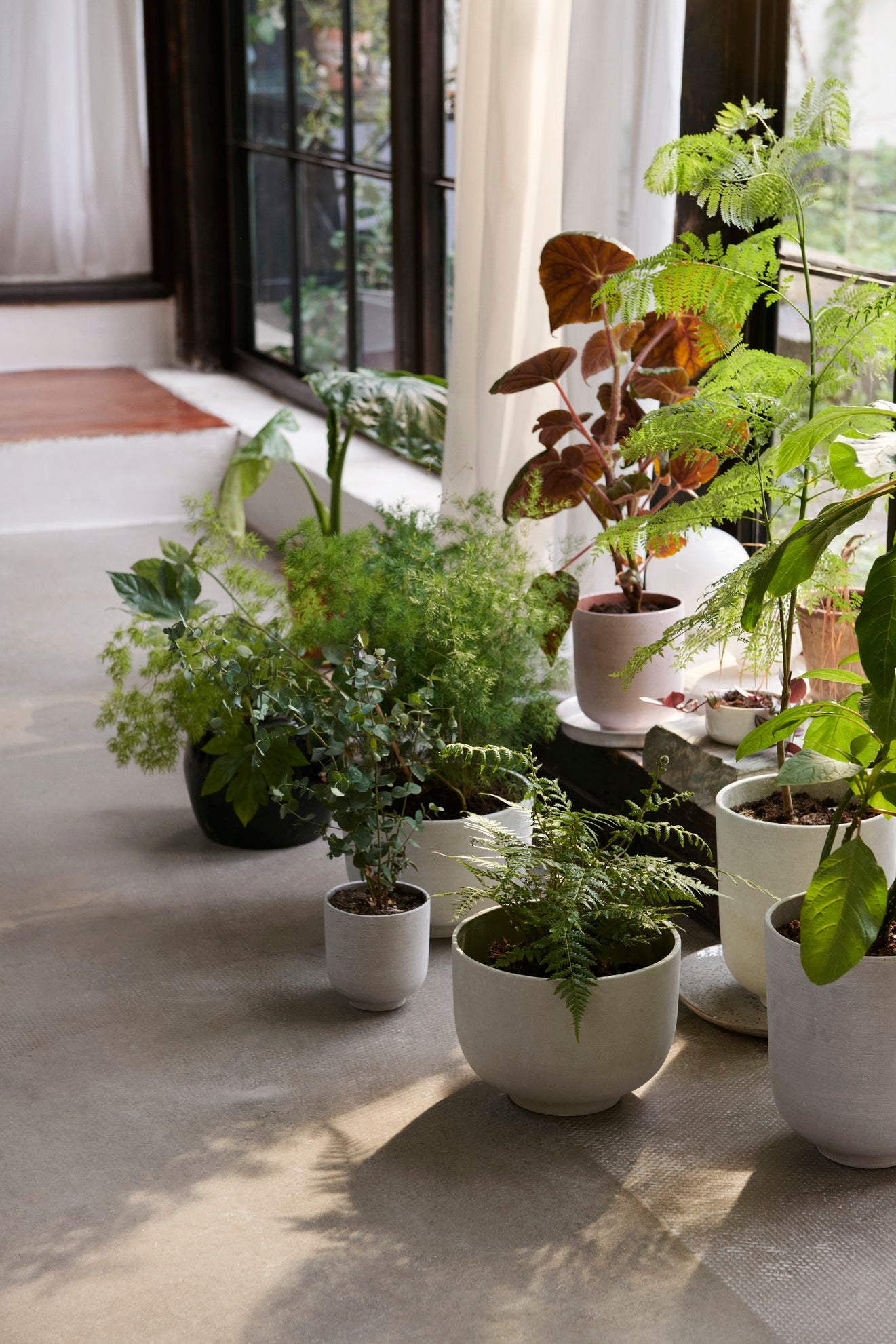 PLANT POT-COLLECT SC71-SAGE-LARGE