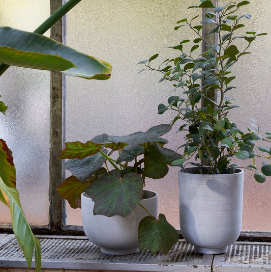 PLANT POT-COLLECT SC71-SLATE-LARGE