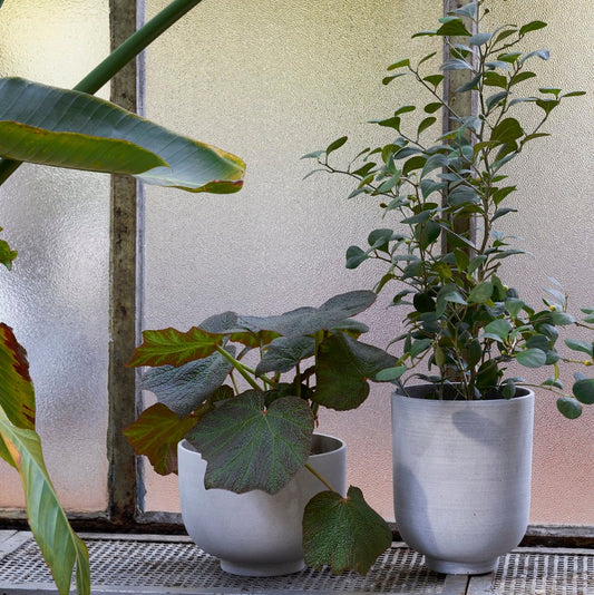 PLANT POT-COLLECT SC72-SILVER-TALL
