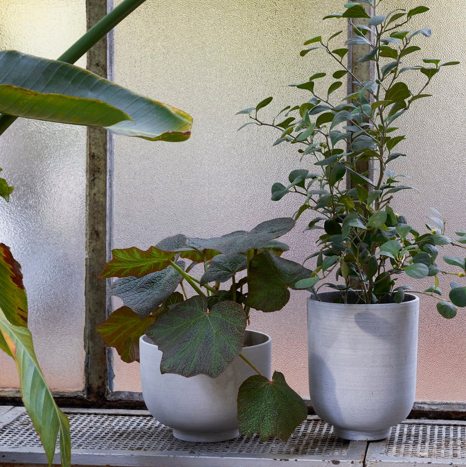 PLANT POT-COLLECT SC72-SLATE-TALL