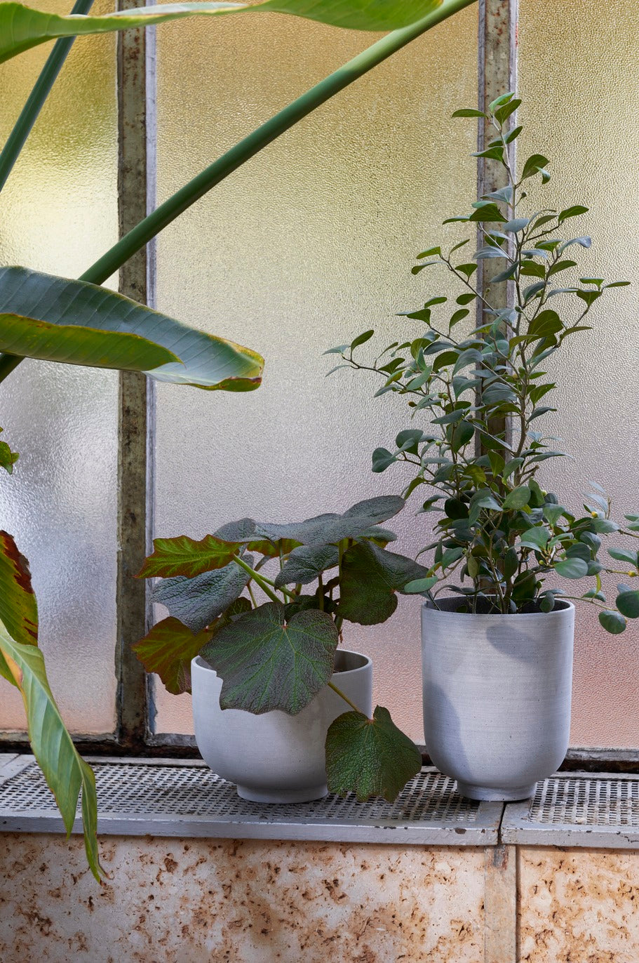 PLANT POT-COLLECT SC72-SLATE-TALL