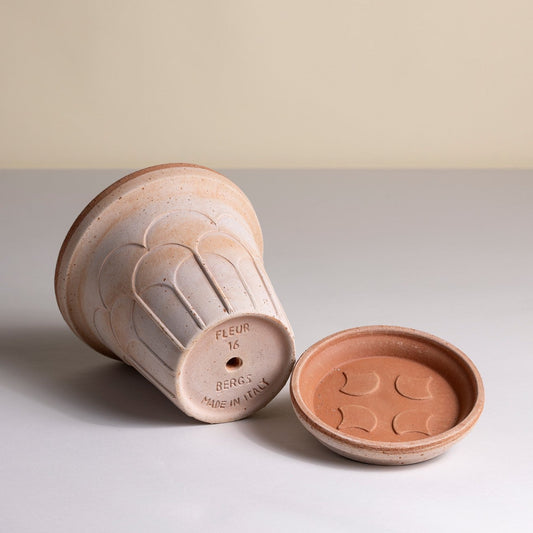 PLANT POT-FLEUR ROSA POT & SAUCER-DIAM.25 CM
