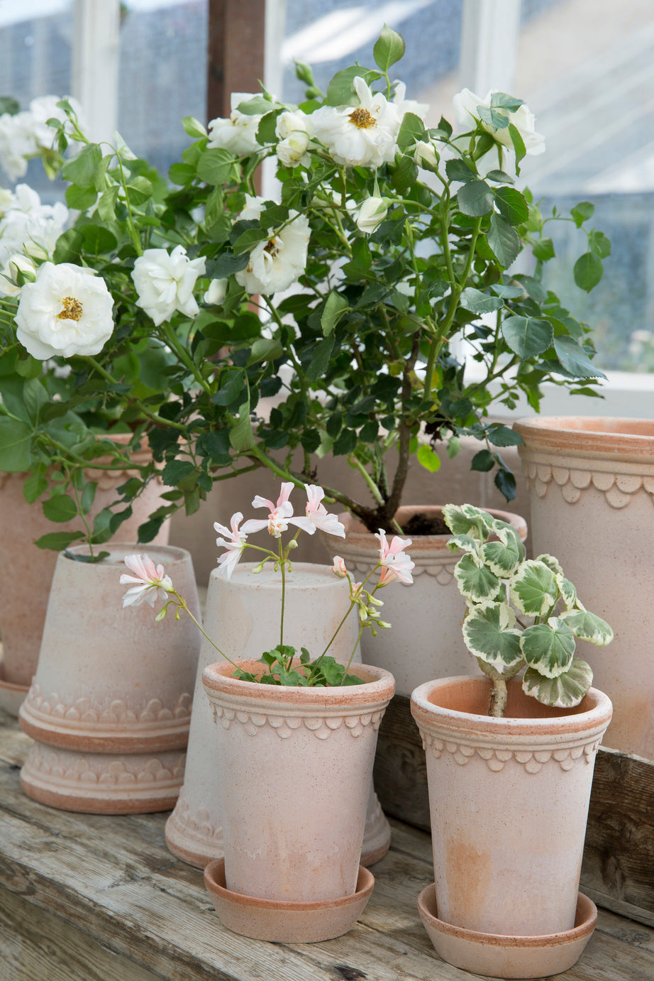 PLANT POT-HELENA RAW ROSA POT & SAUCER-DIAM.30 CM