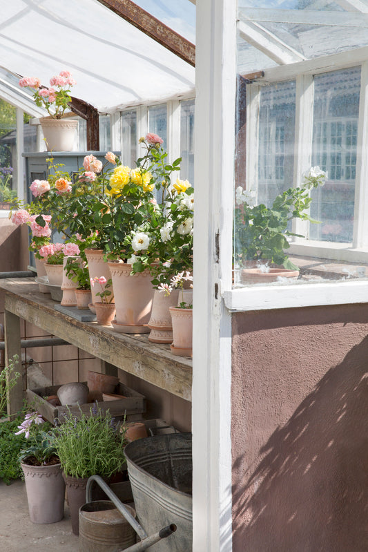 PLANT POT-COPENHAGEN RAW ROSA POT & SAUCER- DIAM.18