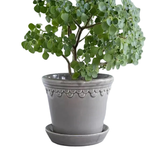 PLANT POT-COPENHAGEN GLAZED POT & SAUCER-PEARL GREY-DIAM.25 CM