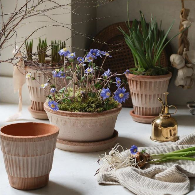 PLANT POT-COPENHAGEN ROSA POT & SAUCER-LOW-DIAM.30CM