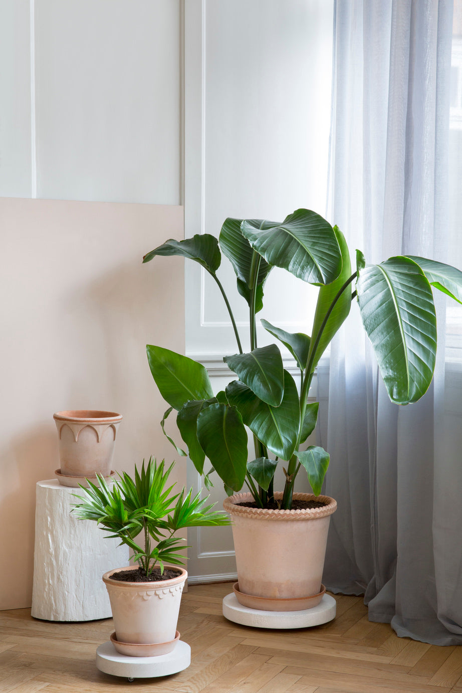 PLANT POT-COPENHAGEN RAW ROSA POT & SAUCER- DIAM.18