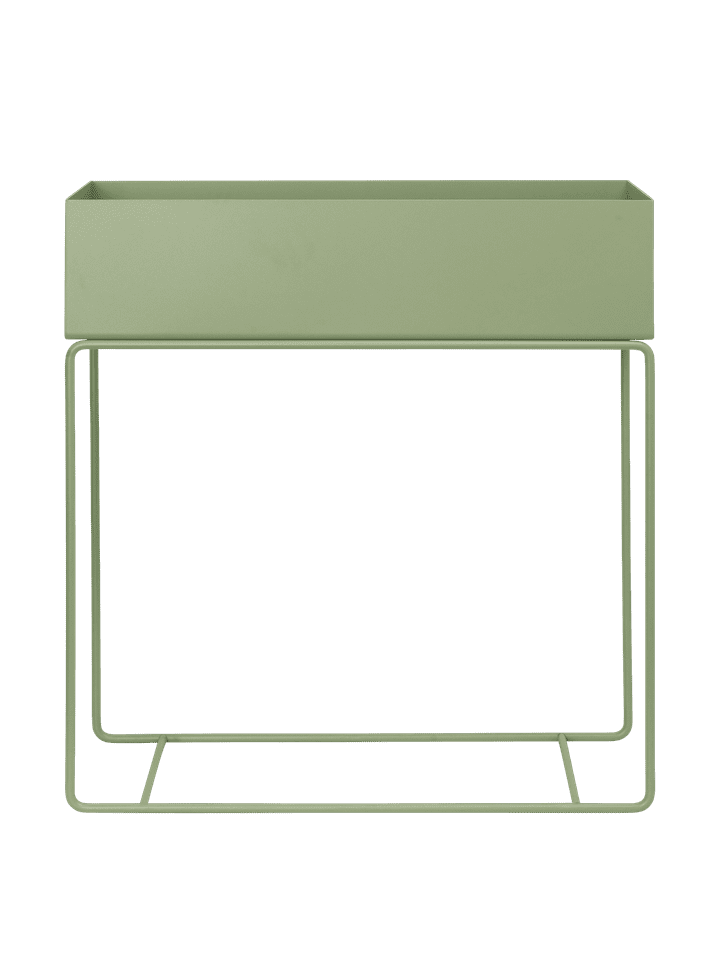PLANT BOX-TEA GREEN