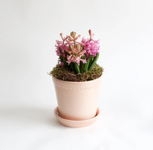 PLANT POT-HELENA GLAZED QUARTZ ROSE POT & SAUCER-DIAM.18 CM