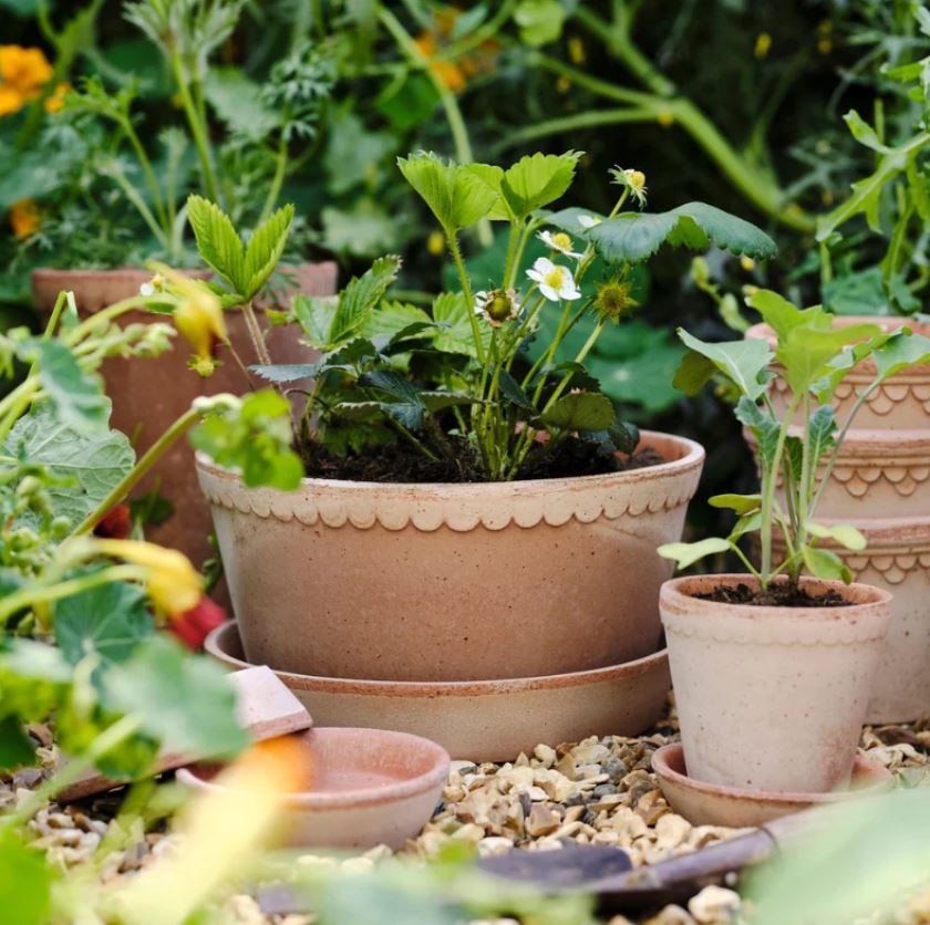 PLANT POT-HELENA ROSA POT & SAUCER-DIAM.21 CM-LOW
