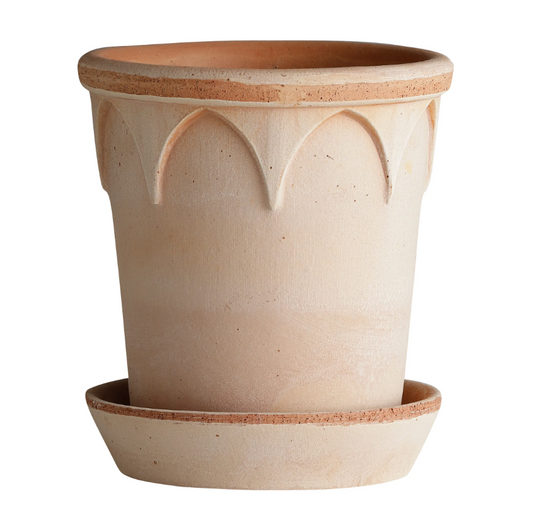 PLANT POT-ELIZABETH ROSE POT & SAUCER-DIAM.21 CM