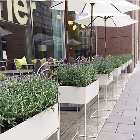 Plant Box - Grey, HOME DECOR, FERM, - Fabrica