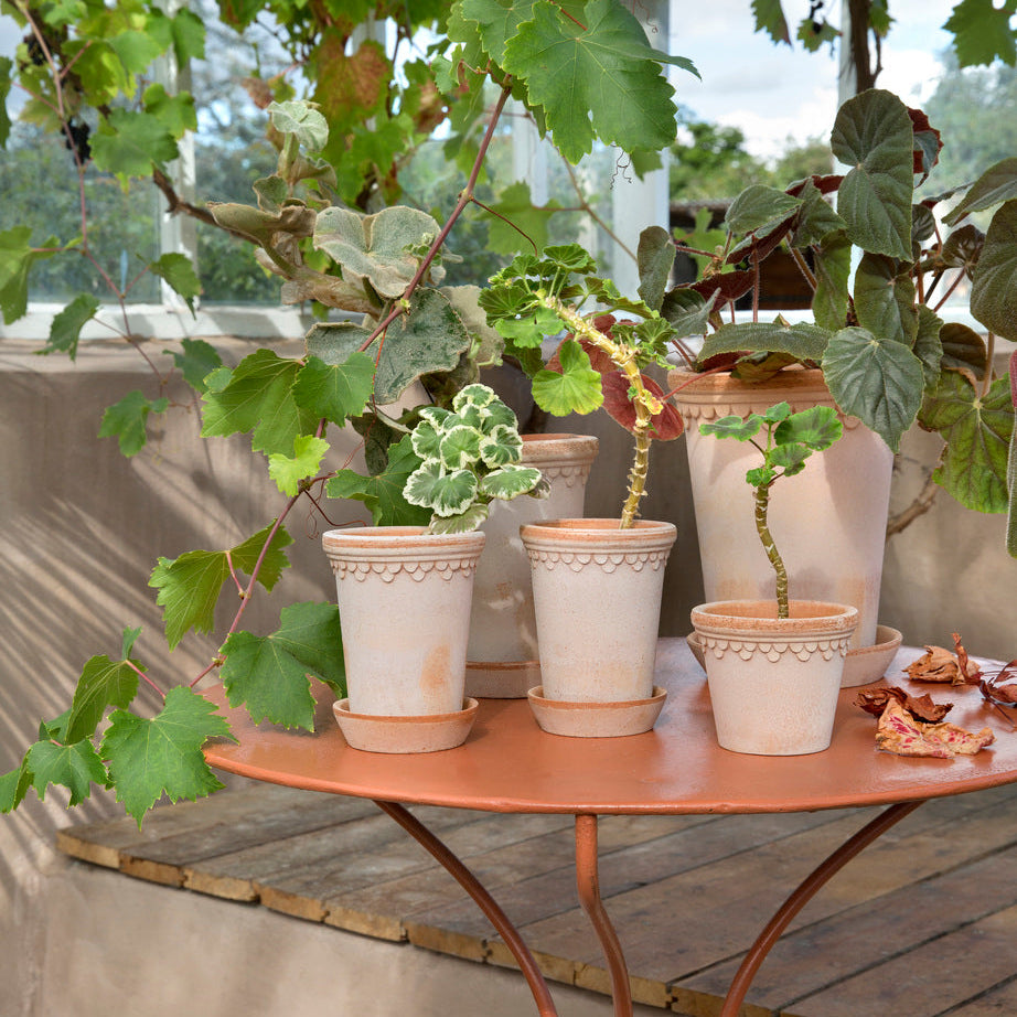 PLANT POT-COPENHAGEN RAW ROSA POT & SAUCER-DIAM.18 CM-TALL