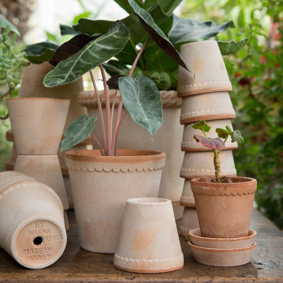 PLANT POT-HELENA ROSA POT & SAUCER-DIAM.21 CM-LOW