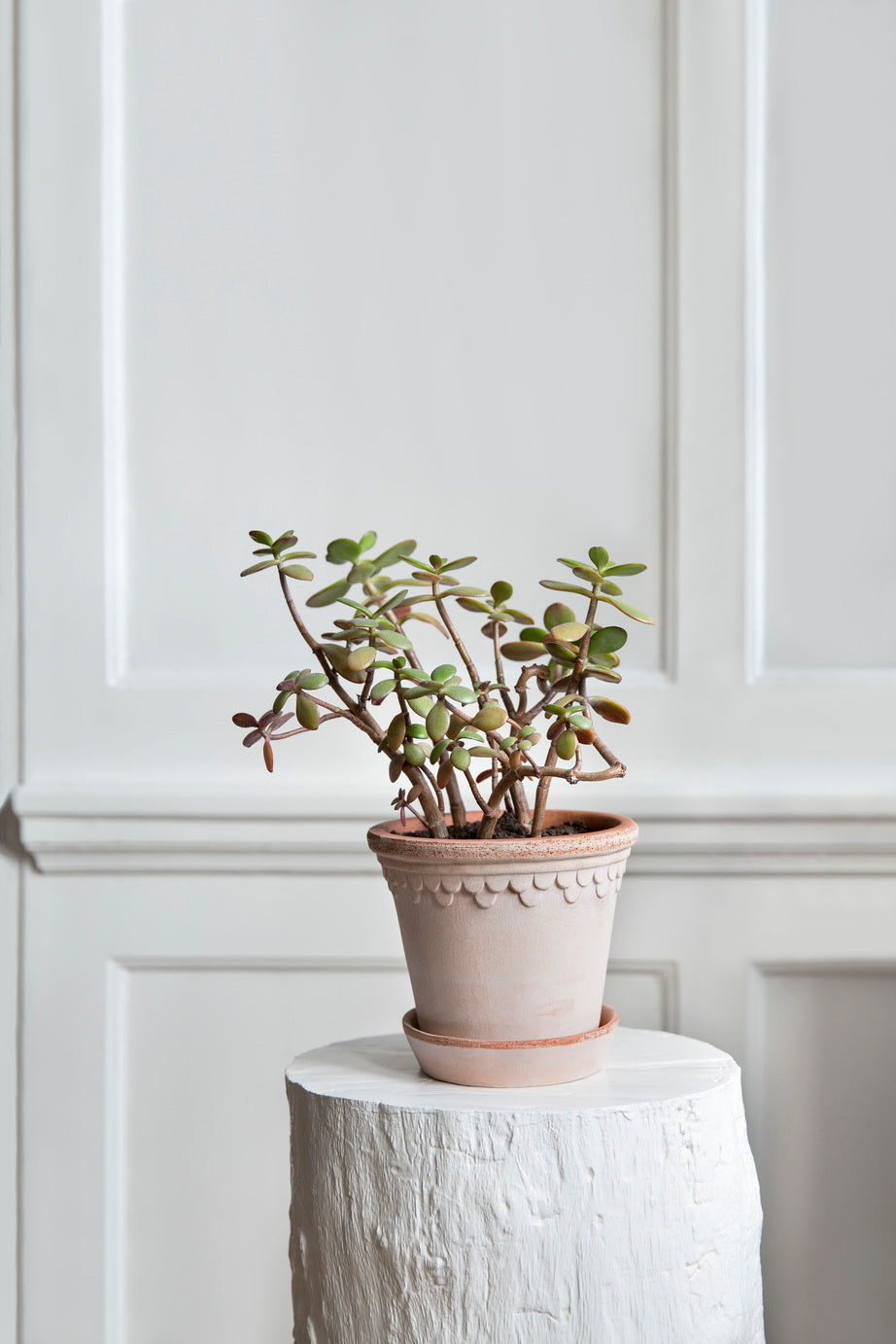 PLANT POT-COPENHAGEN RAW ROSA POT & SAUCER-DIAM.21 CM