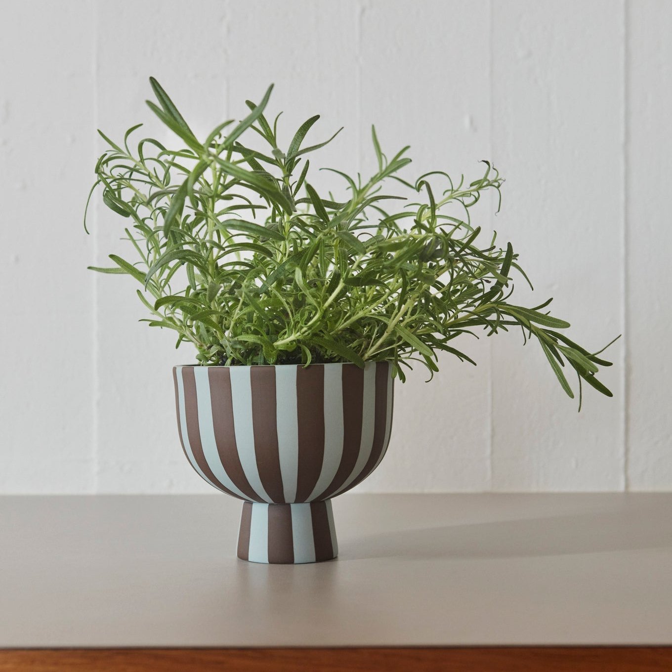 BOWL-TOPPU MINI-DUSTY BLUE/CHOCO