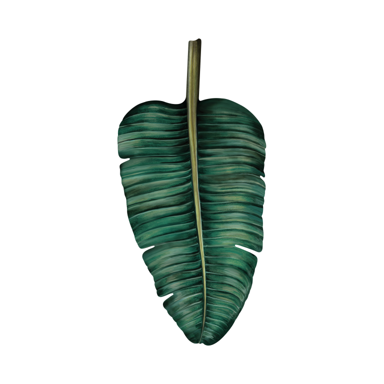 MIHO-BANANA TREE DECORATIVE LEAF