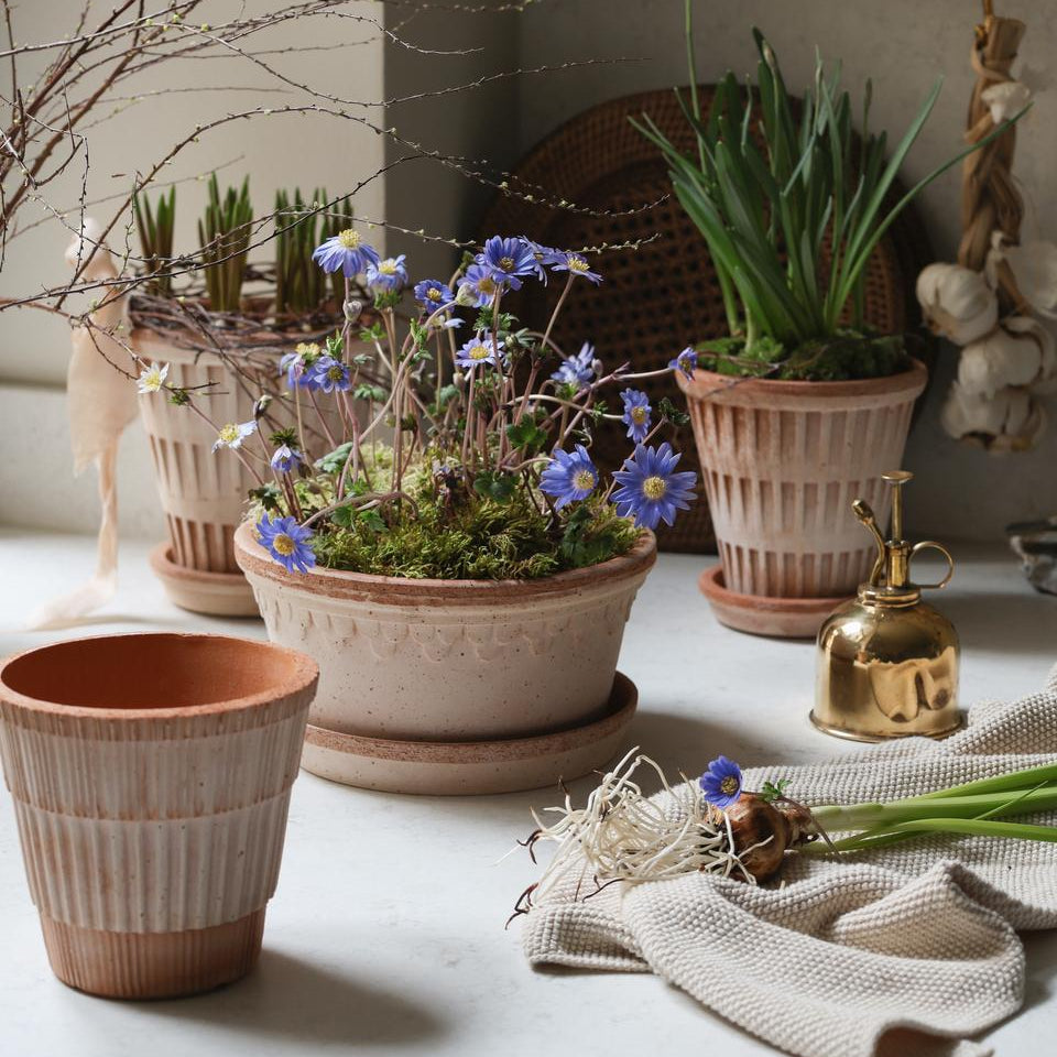 Plant Pots
