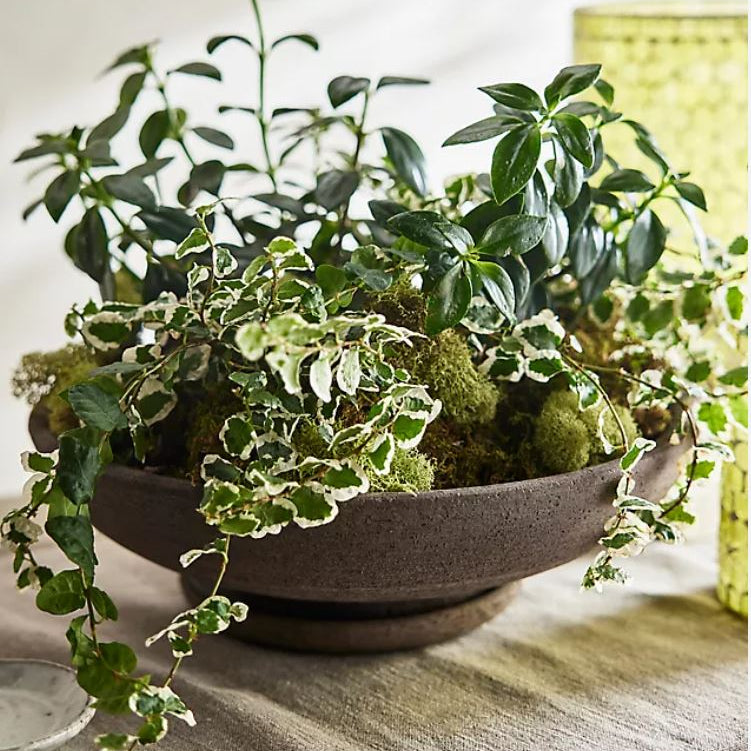 PLANT POT-ADA RAW GREY POT & SAUCER-DIAM.35 CM