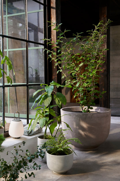 PLANT POT-COLLECT SC72-SAGE-TALL