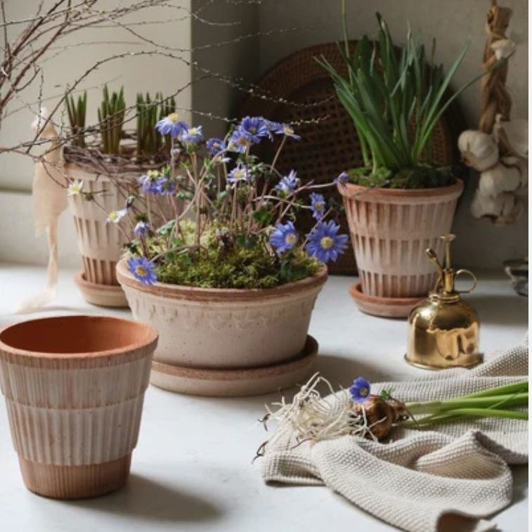 PLANT POT-ATLAS ROSA POT & SAUCER-DIAM.21 CM