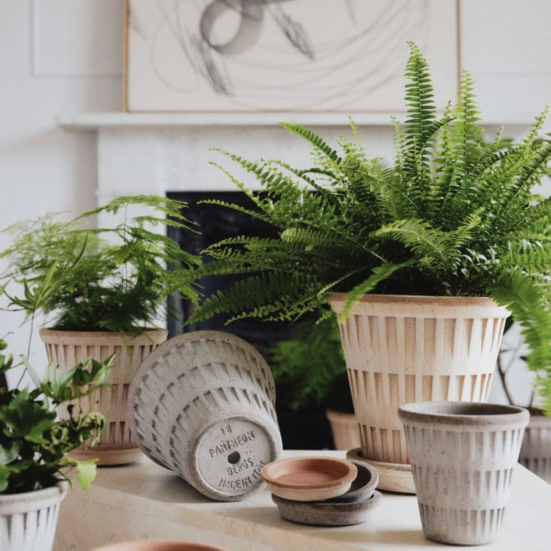 PLANT POT - PANTHEON ROSA POT & SAUCER-DIAM.25 CM