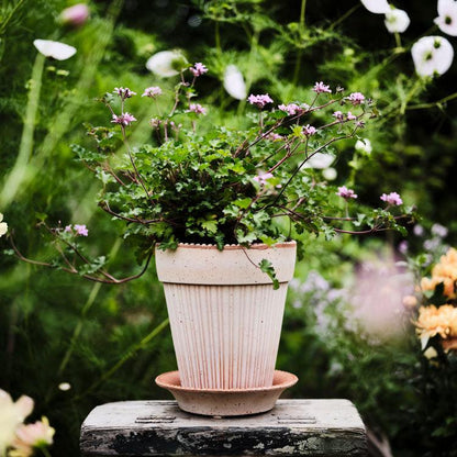 PLANT POT-SIMONA ROSE POT & SAUCER-DIAM.16 CM