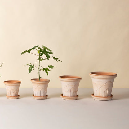 PLANT POT-FLEUR ROSA POT & SAUCER-DIAM.21 CM