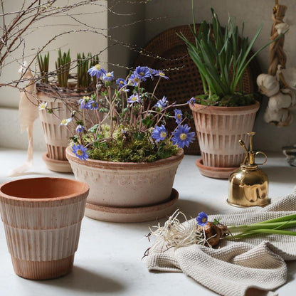 PLANT POT-ATLAS ROSA POT & SAUCER-DIAM.25 CM