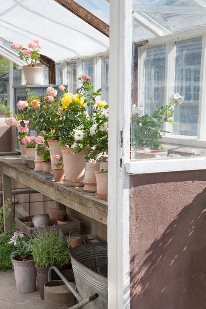 PLANT POT-COPENHAGEN RAW ROSA POT & SAUCER- DIAM.18