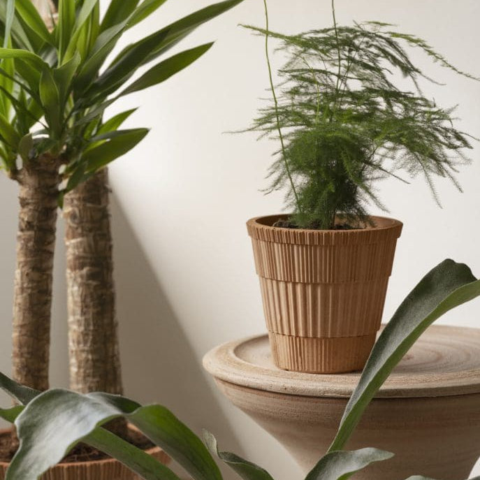 PLANT POT-ATLAS ROSA POT & SAUCER-DIAM.21 CM