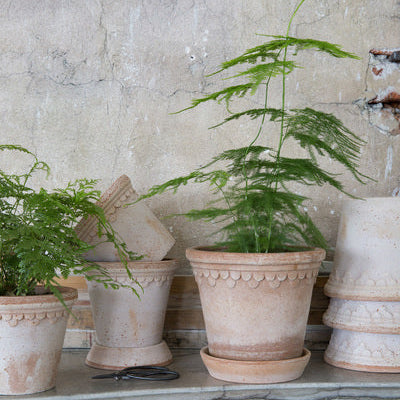PLANT POT-COPENHAGEN RAW ROSA POT & SAUCER- DIAM.18