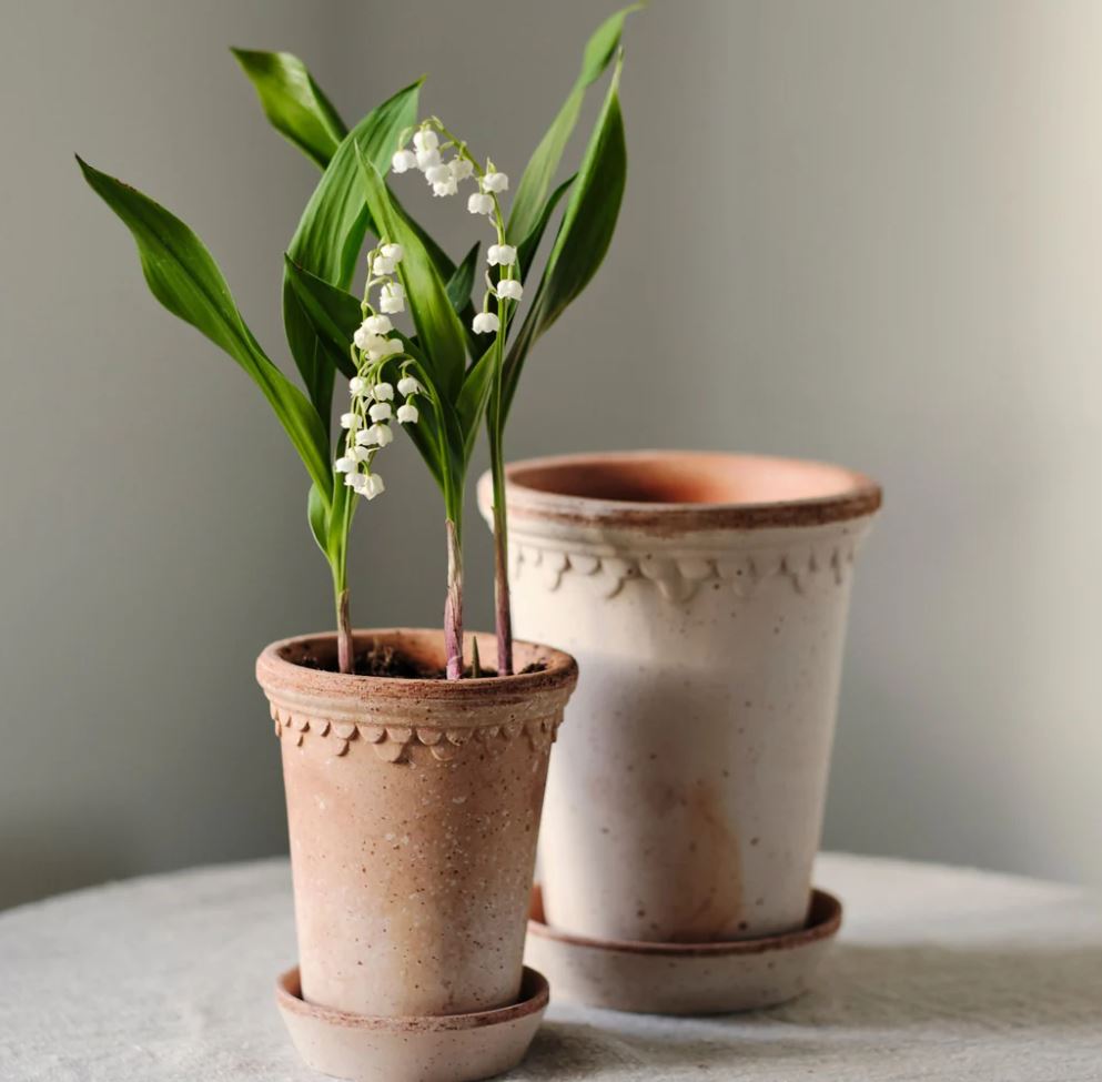 PLANT POT-COPENHAGEN RAW ROSA POT & SAUCER-DIAM.18 CM-TALL