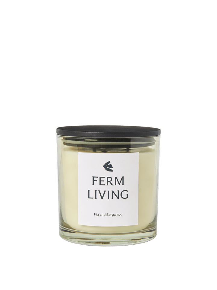 CANDLE-VITTO SCENTED CANDLE H12-LIGHT CELEDON