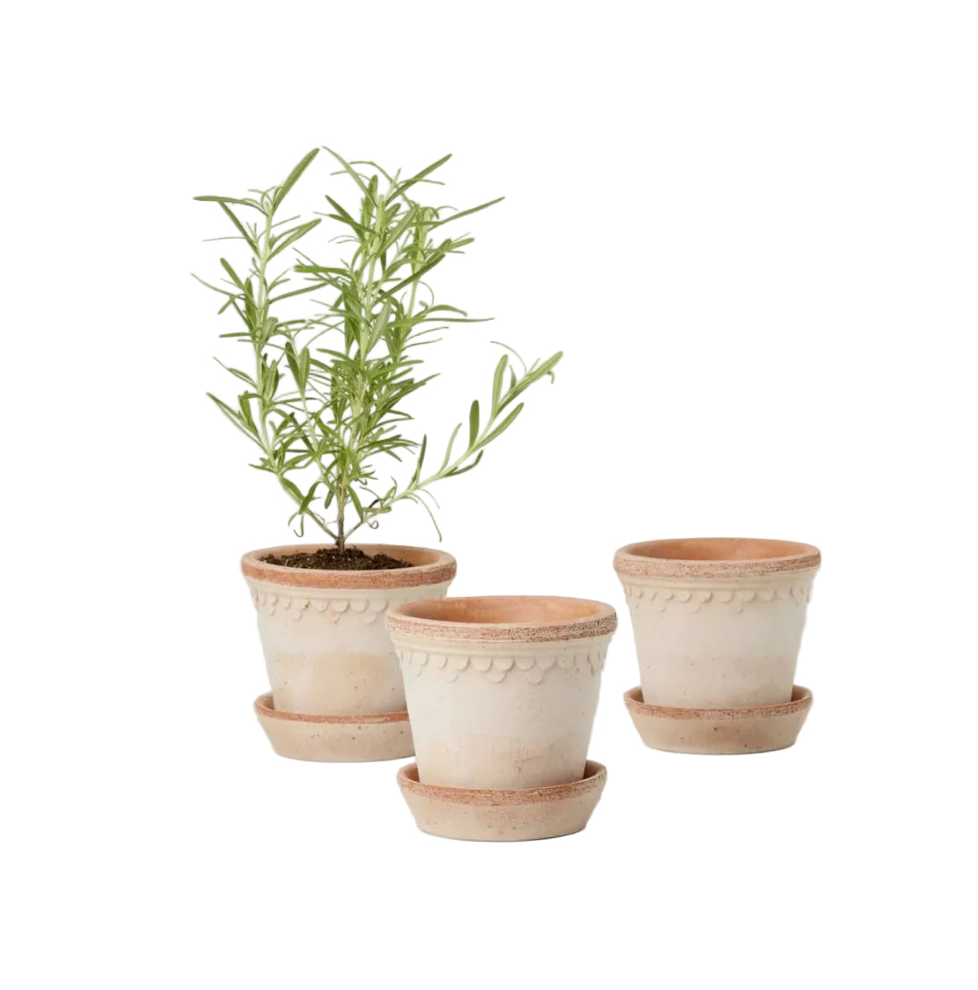 PLANT POT-COPENHAGEN ROSA POTS & SAUCERS-SET OF 3-DIAM.10 CM
