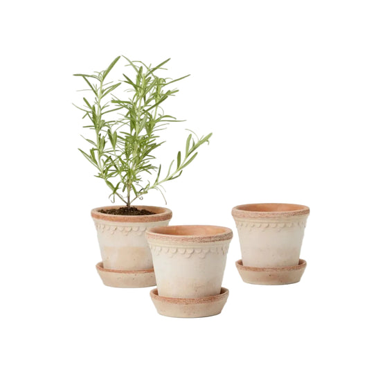 PLANT POT-COPENHAGEN ROSA POTS & SAUCERS-SET OF 3-DIAM.10 CM