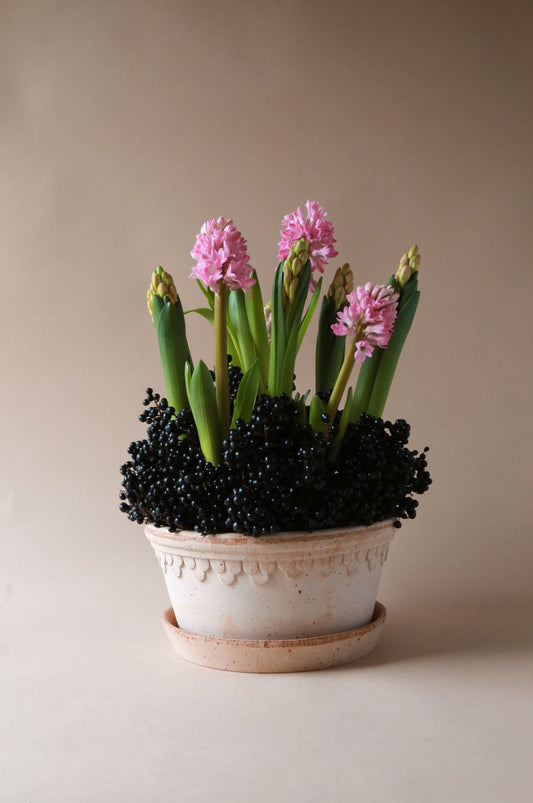 PLANT POT-COPENHAGEN RAW ROSA POT & SAUCER LOW -DIAM. 25 CM