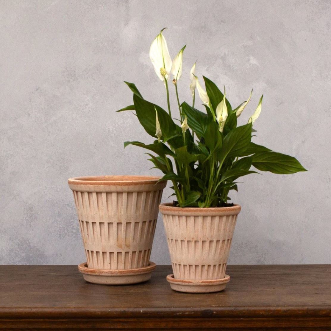 PLANT POT - PANTHEON ROSA POT & SAUCER-DIAM.25 CM