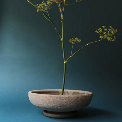 PLANT POT-ADA RAW GREY POT & SAUCER-DIAM.30 CM