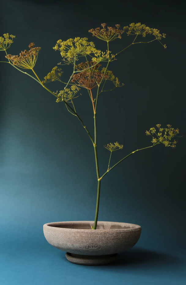 PLANT POT-ADA RAW GREY POT & SAUCER-DIAM.35 CM