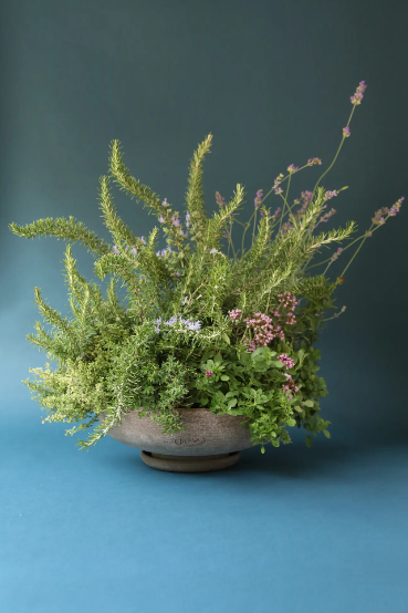 PLANT POT-ADA RAW GREY POT & SAUCER-DIAM.35 CM