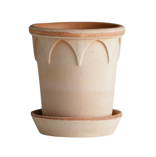 PLANT POT-ELIZABETH RAW ROSA POT & SAUCER-DIAM.25 CM