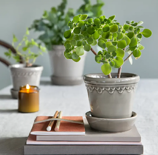 PLANT POT-COPENHAGEN GLAZED POT & SAUCER-PEARL GREY-DIAM.21 CM