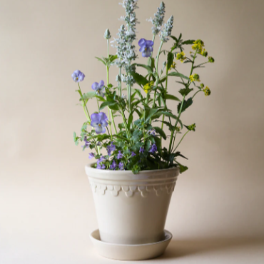 PLANT POT-COPENHAGEN GLAZED POT & SAUCER-SANDSTONE-DIAM.21 CM