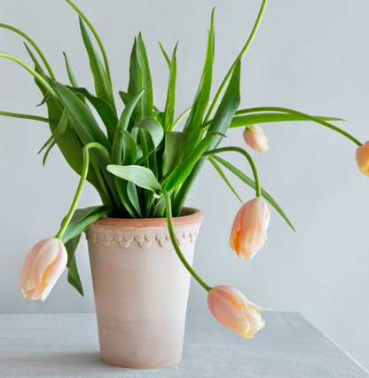 PLANT POT-COPENHAGEN RAW ROSA POT & SAUCER-DIAM.18 CM-TALL