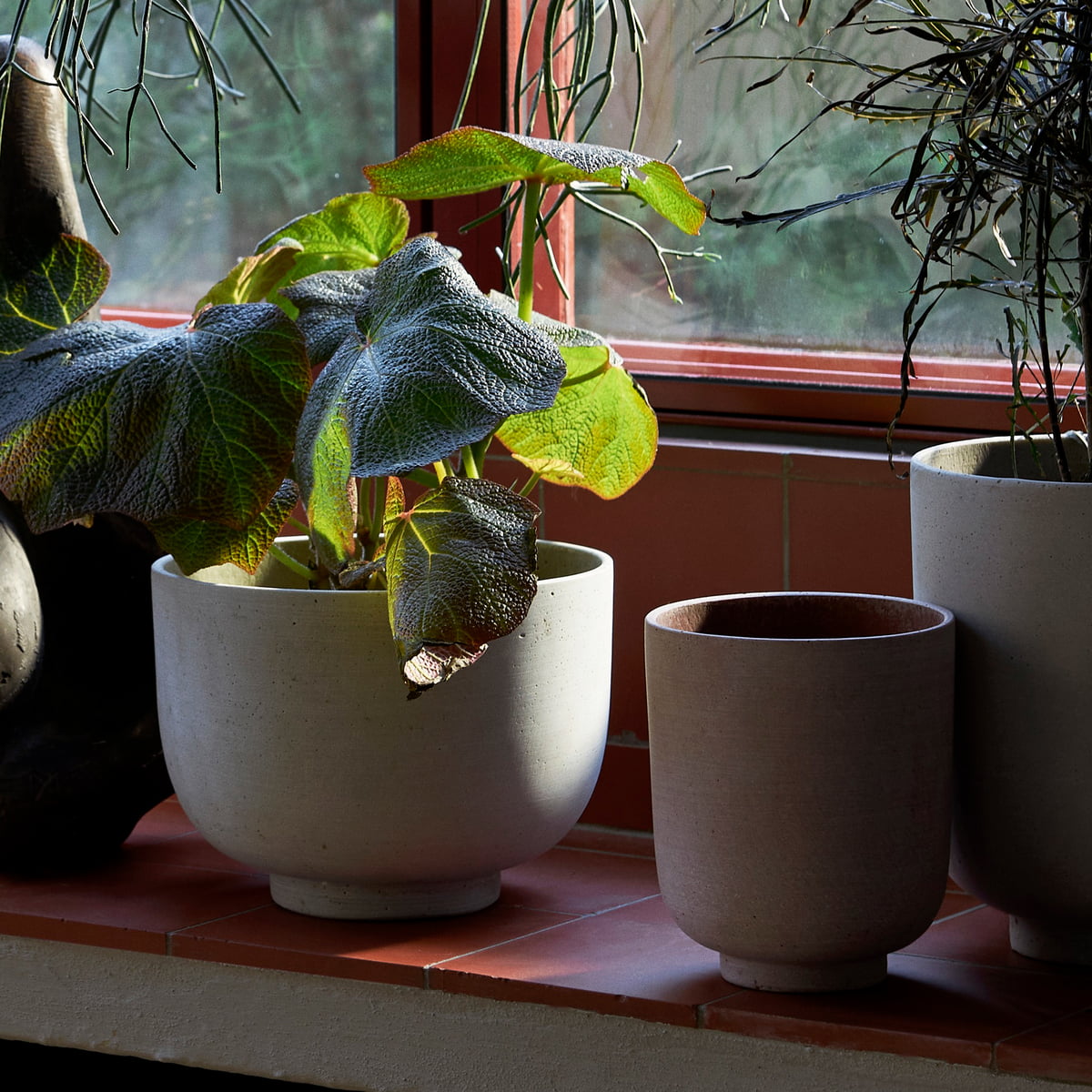 PLANT POT-COLLECT SC71-SAGE-LARGE